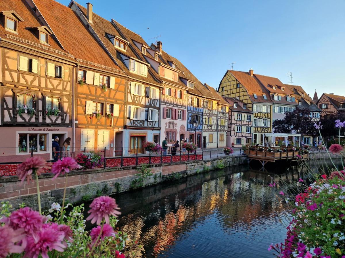 Home La Petite Porte - Petite Venise - Colmar Eksteriør billede