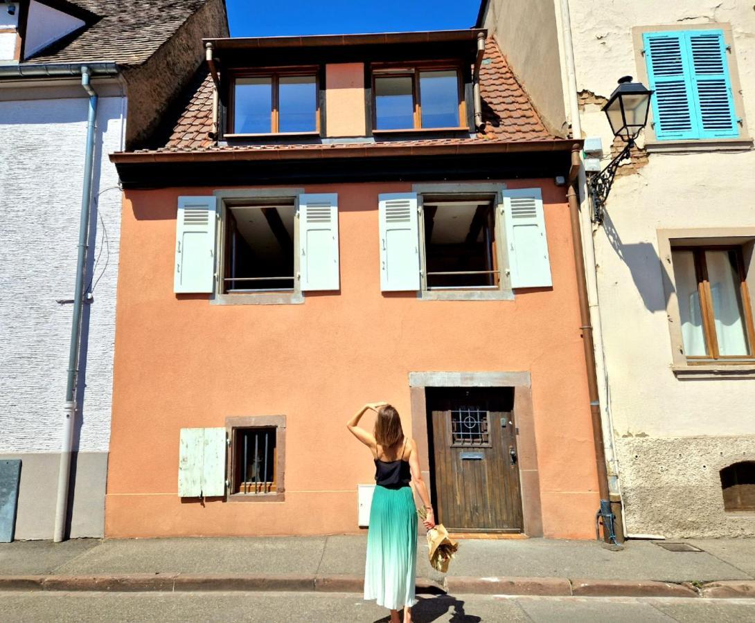 Home La Petite Porte - Petite Venise - Colmar Eksteriør billede